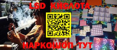шишки Свободный