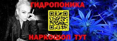 шишки Свободный